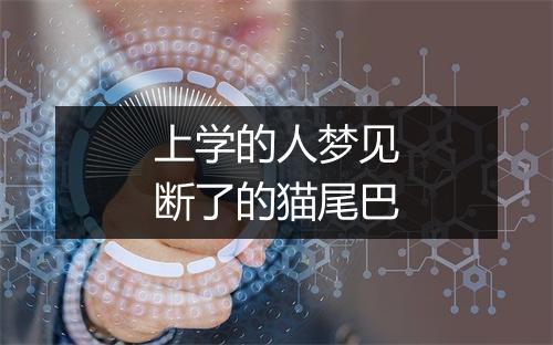 上学的人梦见断了的猫尾巴