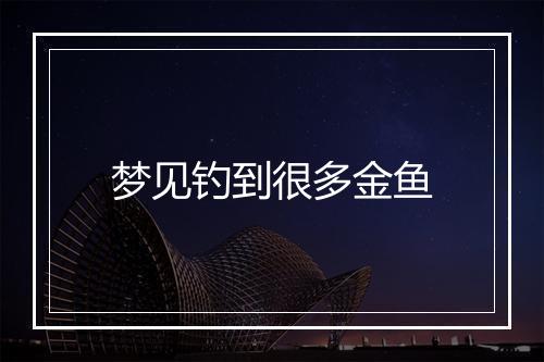 梦见钓到很多金鱼