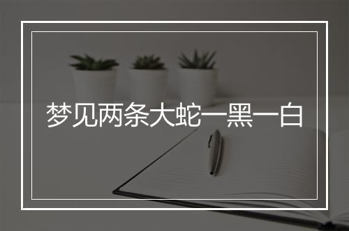 梦见两条大蛇一黑一白