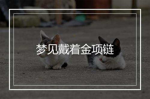 梦见戴着金项链