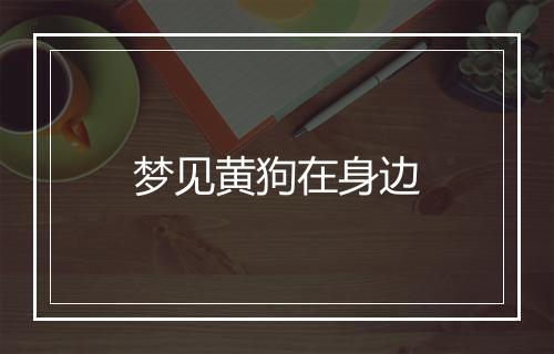 梦见黄狗在身边