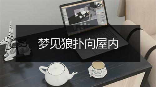 梦见狼扑向屋内