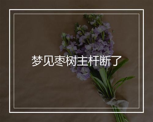 梦见枣树主杆断了