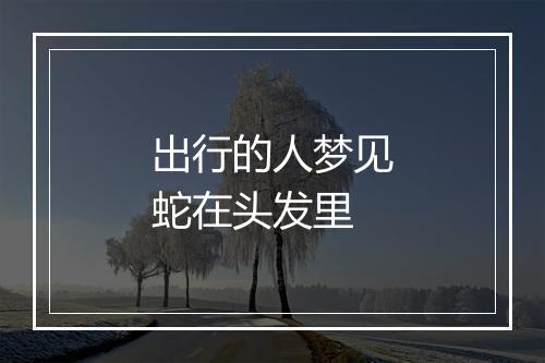 出行的人梦见蛇在头发里