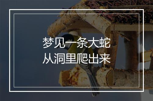 梦见一条大蛇从洞里爬出来