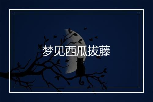 梦见西瓜拔藤