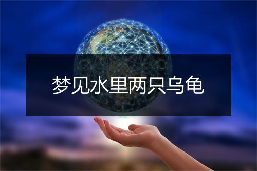 梦见水里两只乌龟