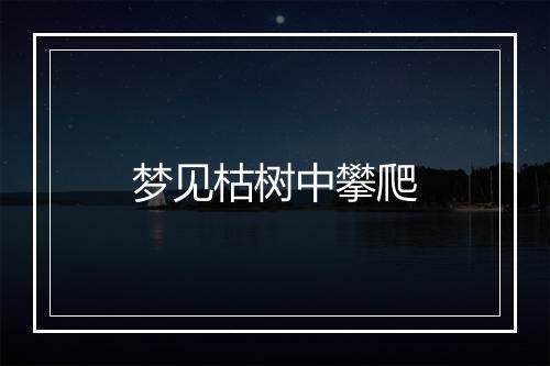 梦见枯树中攀爬