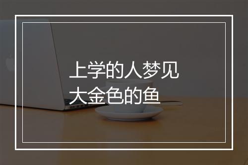 上学的人梦见大金色的鱼