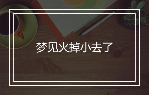 梦见火掉小去了