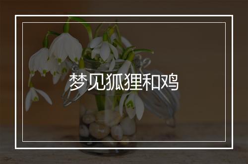 梦见狐狸和鸡