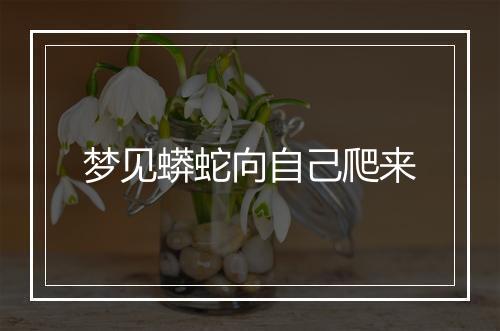 梦见蟒蛇向自己爬来