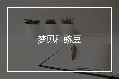 梦见种豌豆