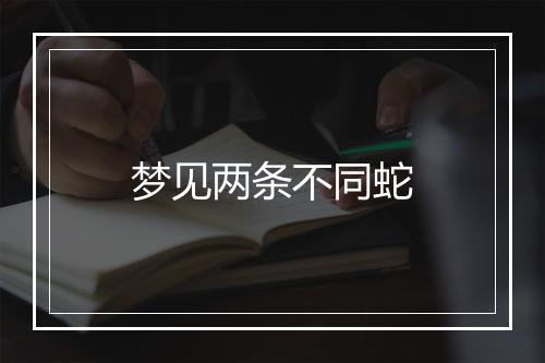 梦见两条不同蛇