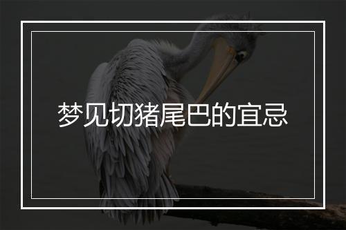 梦见切猪尾巴的宜忌