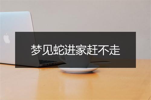 梦见蛇进家赶不走