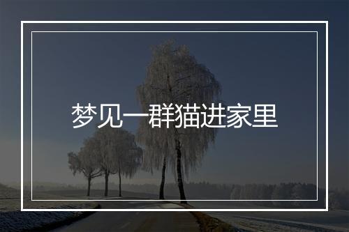 梦见一群猫进家里