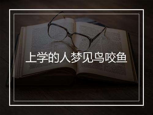 上学的人梦见鸟咬鱼