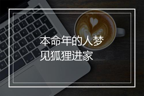 本命年的人梦见狐狸进家