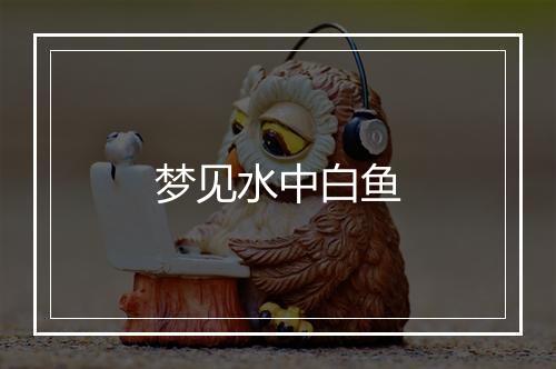 梦见水中白鱼