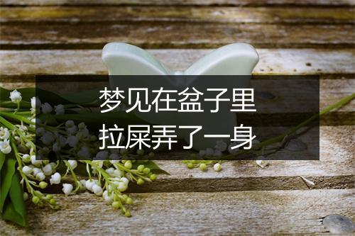 梦见在盆子里拉屎弄了一身