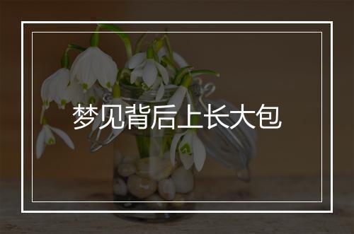 梦见背后上长大包