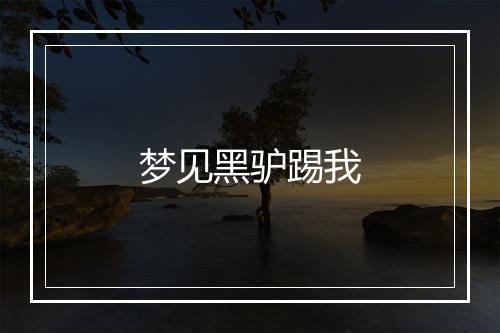 梦见黑驴踢我