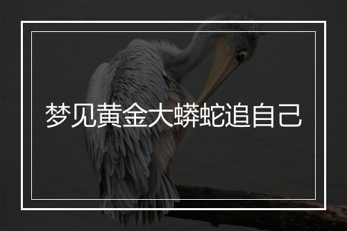 梦见黄金大蟒蛇追自己