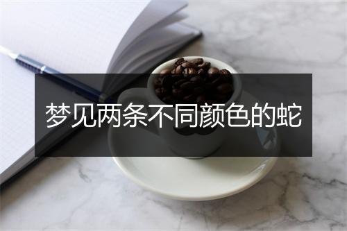 梦见两条不同颜色的蛇