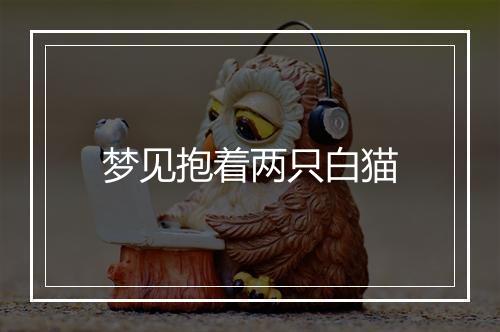 梦见抱着两只白猫