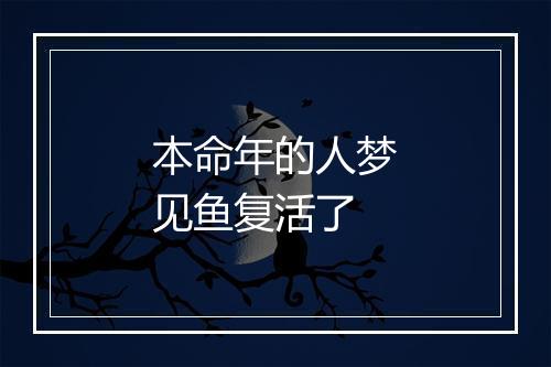 本命年的人梦见鱼复活了