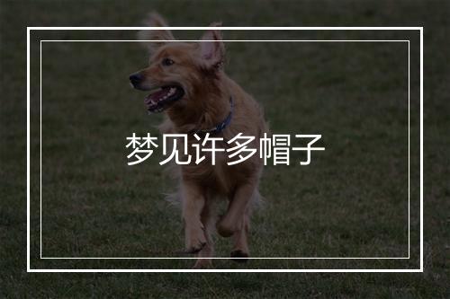 梦见许多帽子