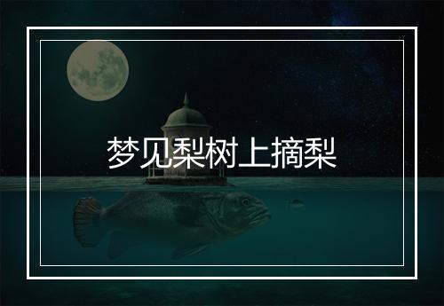 梦见梨树上摘梨