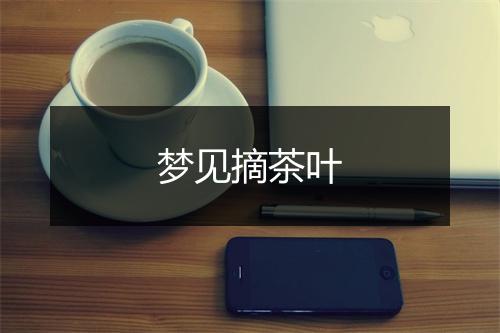 梦见摘茶叶