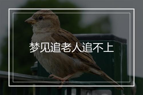 梦见追老人追不上