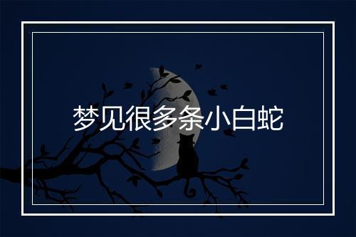 梦见很多条小白蛇