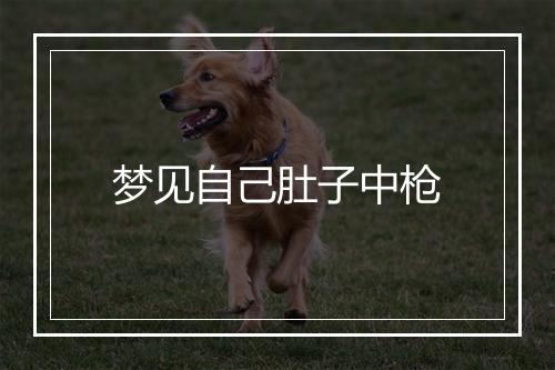 梦见自己肚子中枪