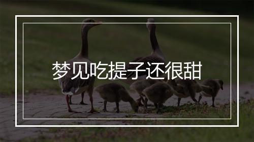 梦见吃提子还很甜