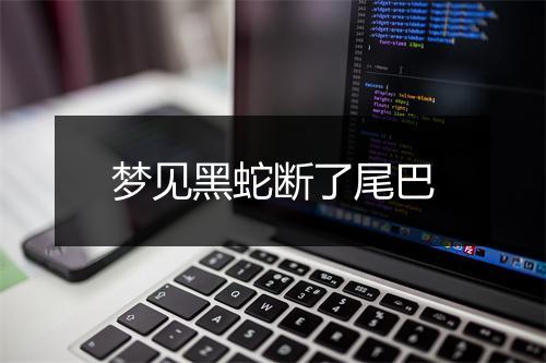 梦见黑蛇断了尾巴