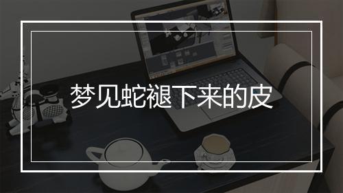 梦见蛇褪下来的皮