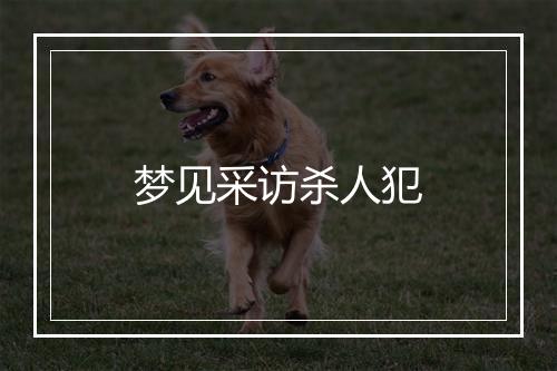 梦见采访杀人犯