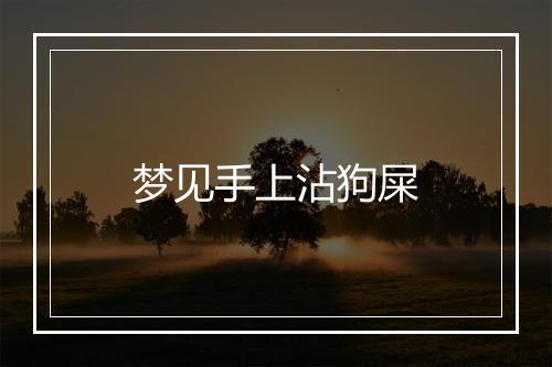 梦见手上沾狗屎