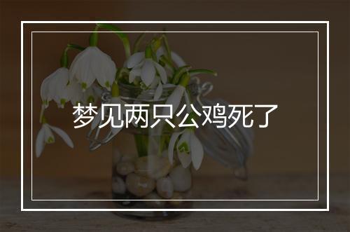 梦见两只公鸡死了