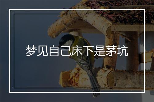 梦见自己床下是茅坑