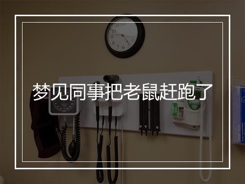 梦见同事把老鼠赶跑了