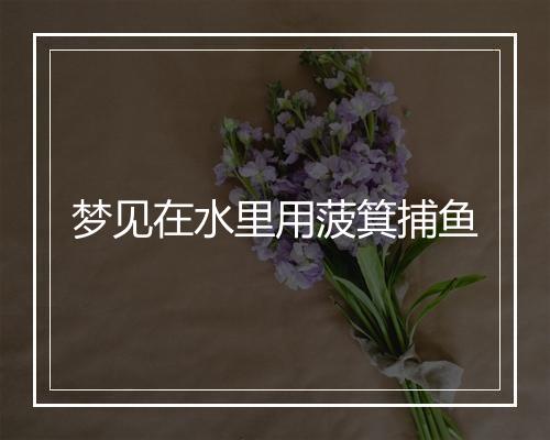 梦见在水里用菠箕捕鱼