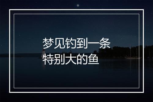 梦见钓到一条特别大的鱼