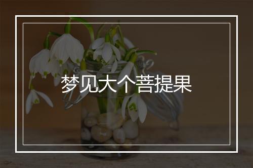 梦见大个菩提果