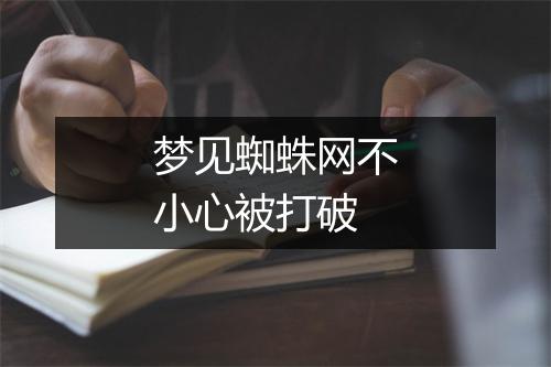 梦见蜘蛛网不小心被打破