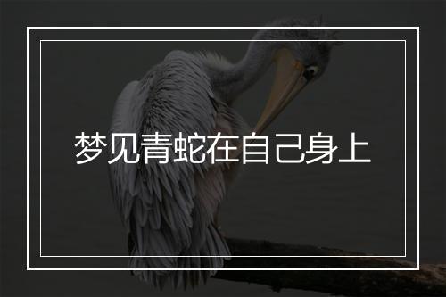 梦见青蛇在自己身上